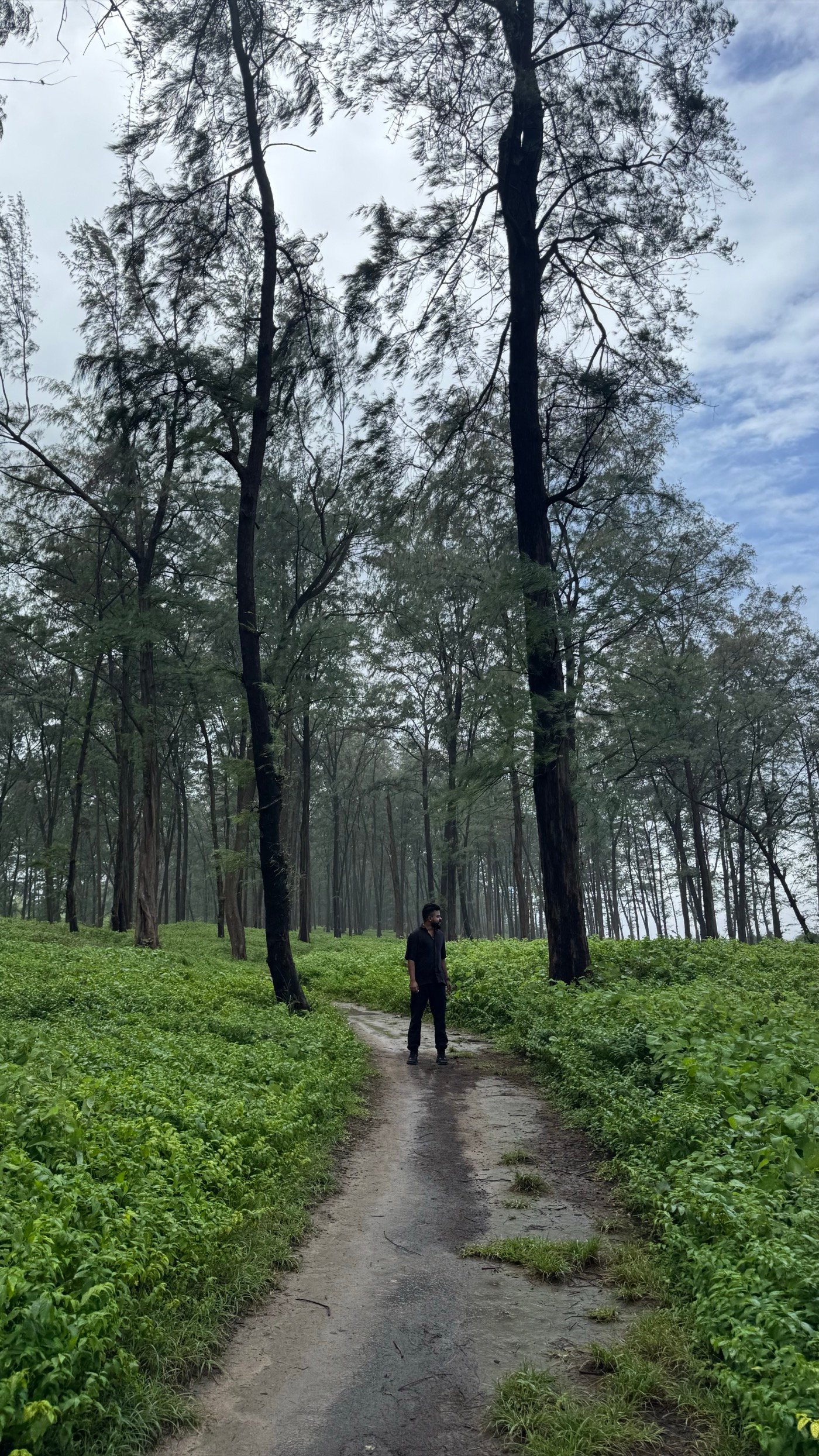 Nikhil Sebastian on a misty forest trail